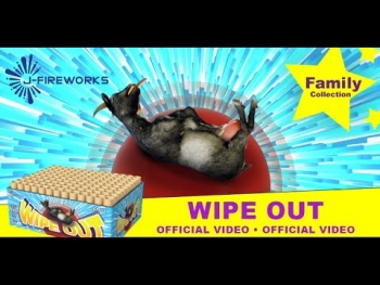 Wipe Out