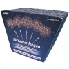 Silvester Regen