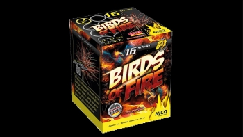 Birds of Fire Birds of Fire