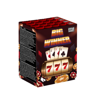Big Winner