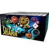 Shark Shark