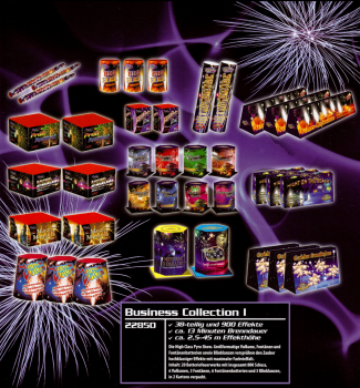 Business Collection I