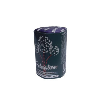 Polarstern