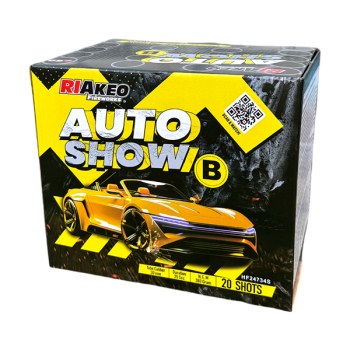 Auto Show B