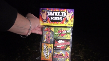 Wild Kids