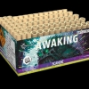 Awaking (JF6321) Awaking (JF6321)