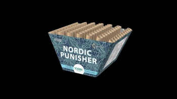 Nordic Punisher